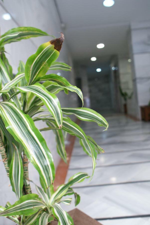 Ferienwohnung Calma Chicha Málaga Exterior foto